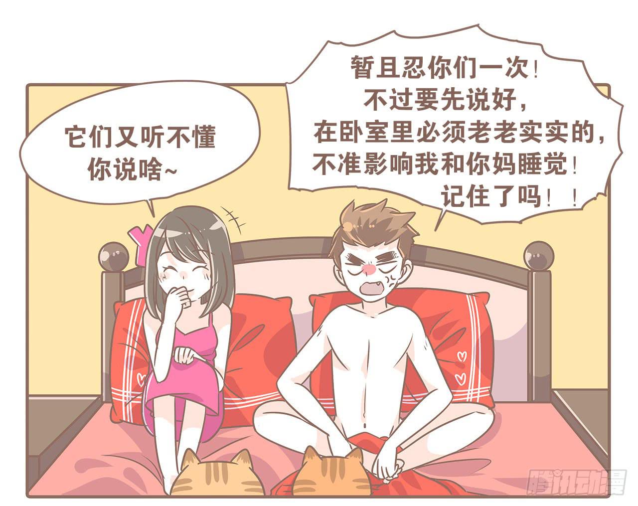 《大圣和小夭》猫奴的生活 第12页