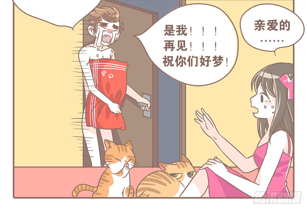 《大圣和小夭》猫奴的生活 第14页