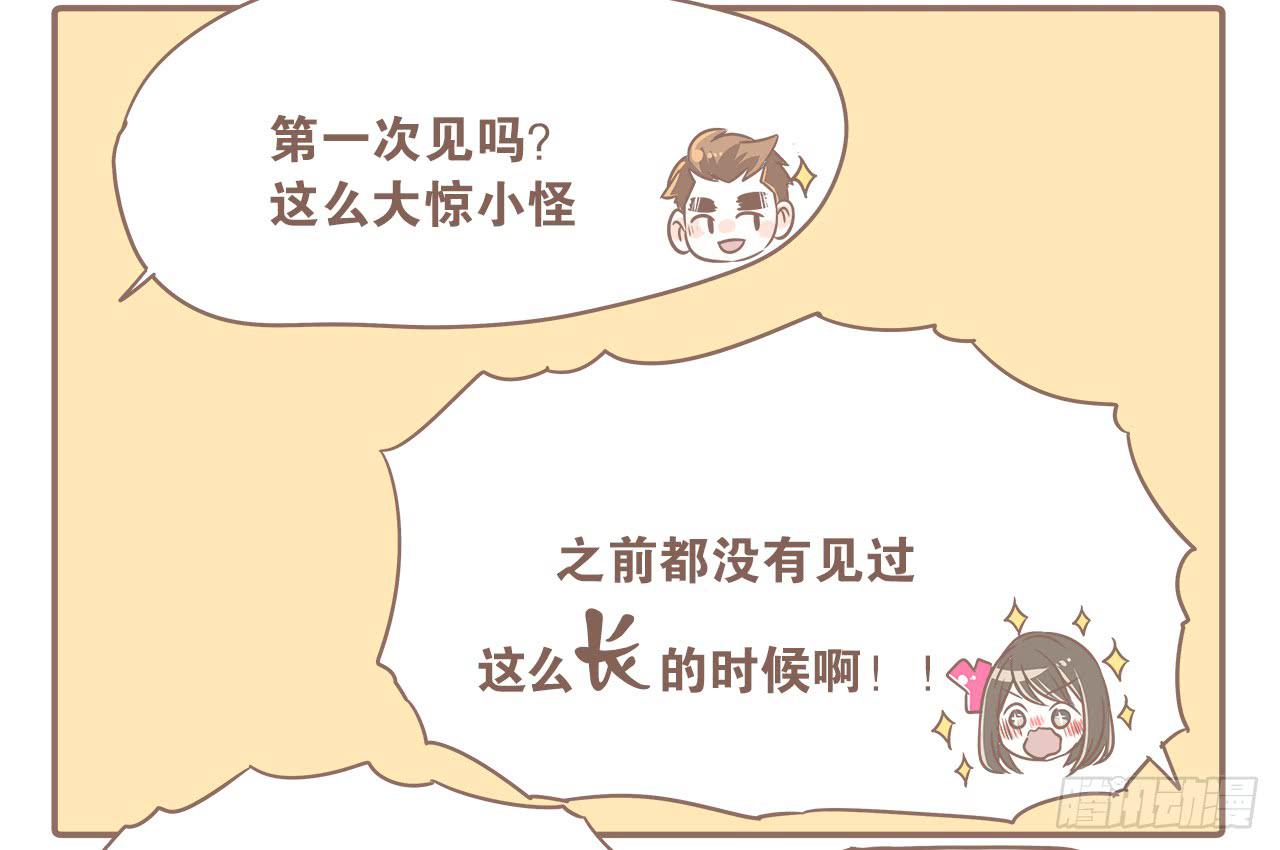 《大圣和小夭》猫奴的生活 第16页