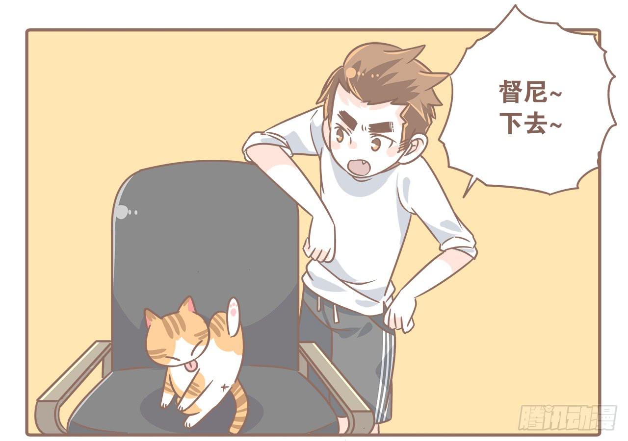 《大圣和小夭》猫奴的生活 第1页
