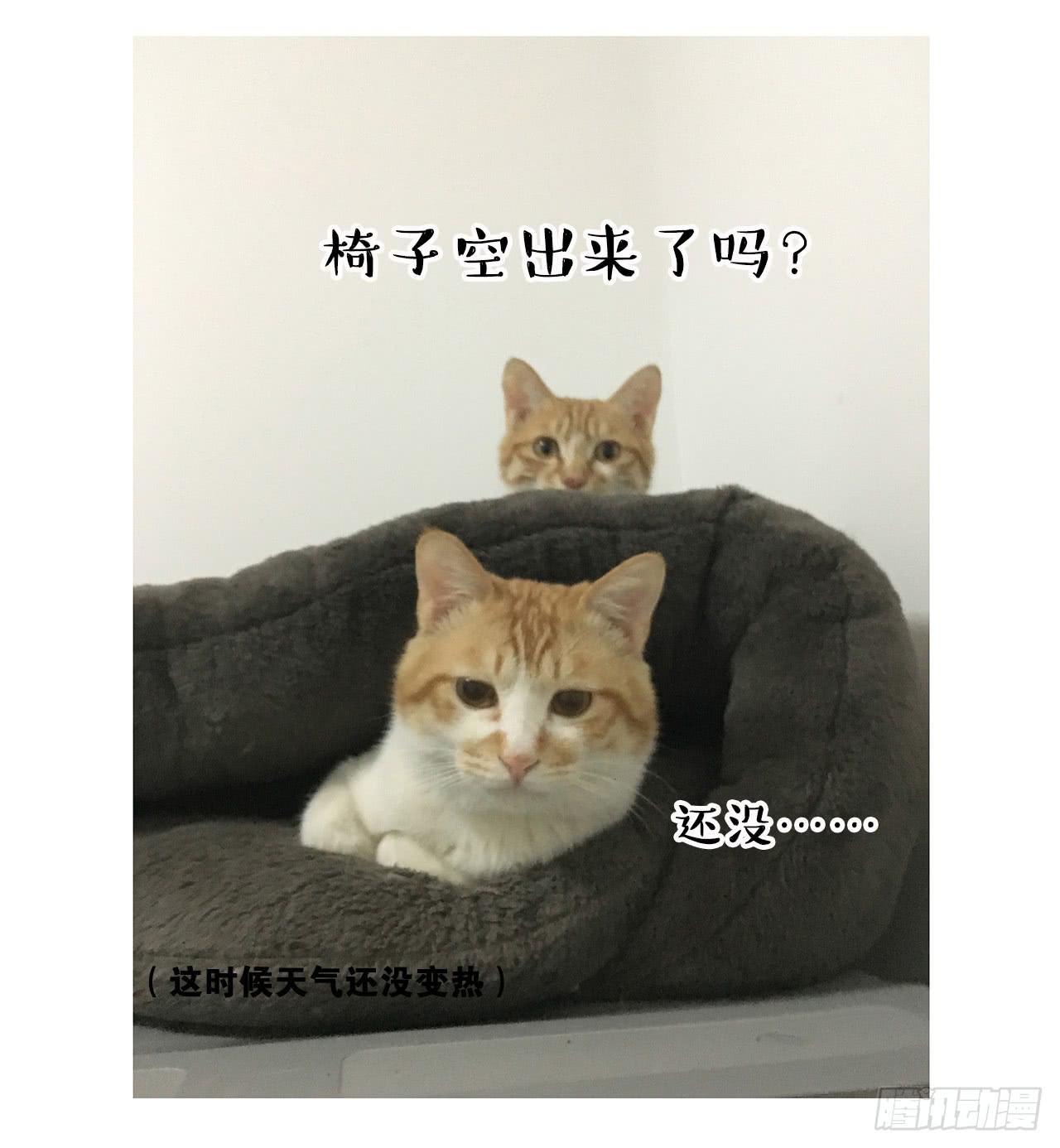 《大圣和小夭》猫奴的生活 第21页