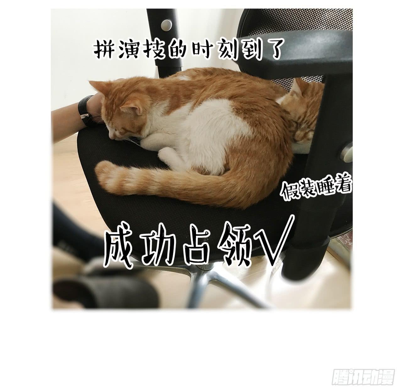 《大圣和小夭》猫奴的生活 第24页