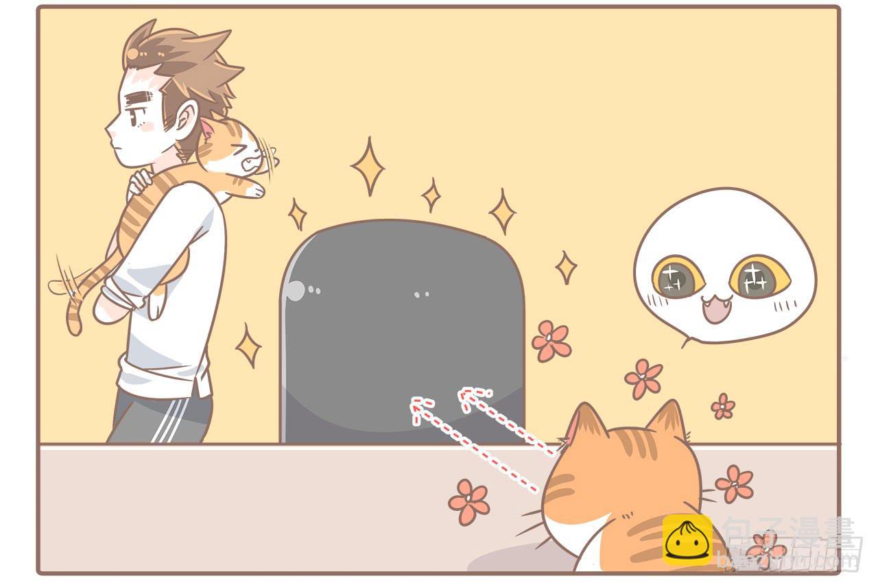 《大圣和小夭》猫奴的生活 第3页