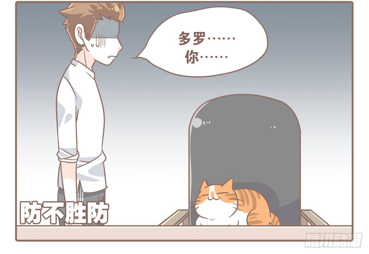 《大圣和小夭》猫奴的生活 第4页