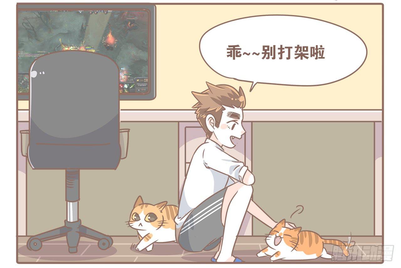 《大圣和小夭》猫奴的生活 第6页