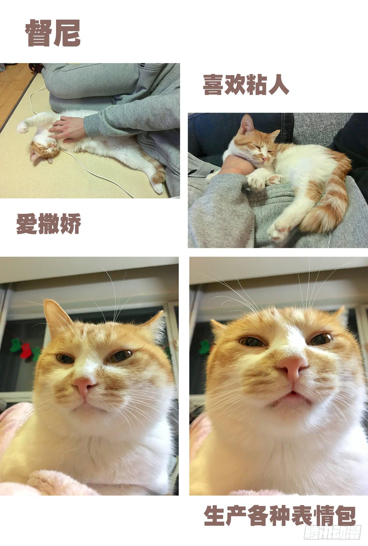 《大圣和小夭》特别篇家有俩猫 第21页