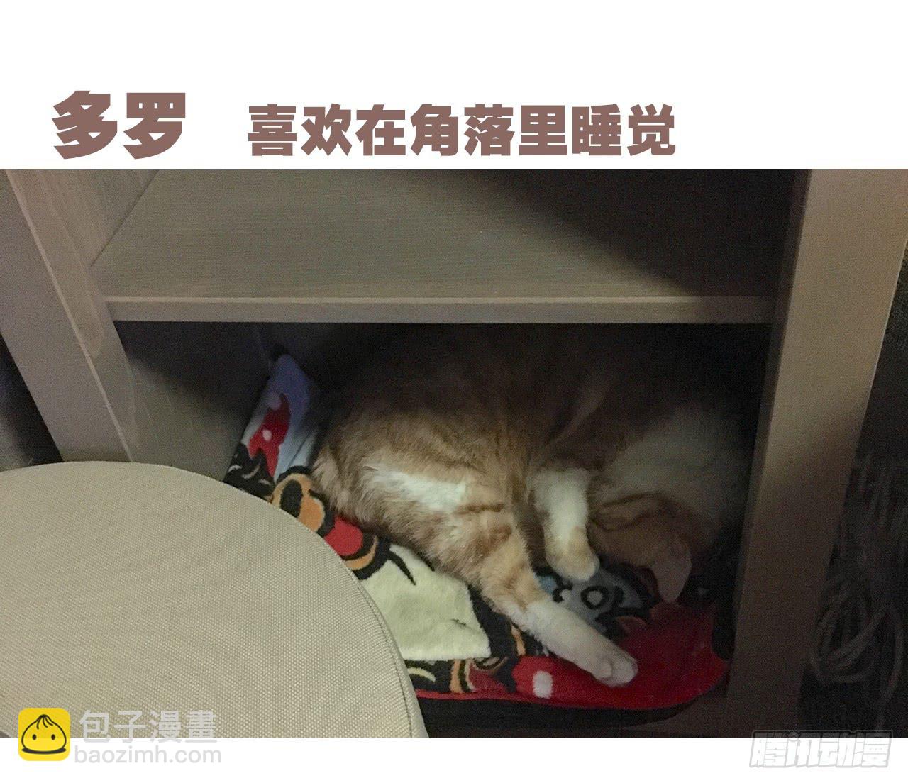 《大圣和小夭》特别篇家有俩猫 第22页