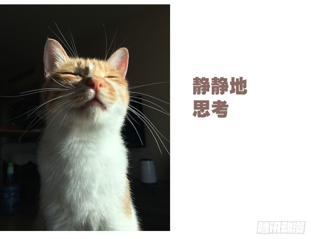 《大圣和小夭》特别篇家有俩猫 第24页
