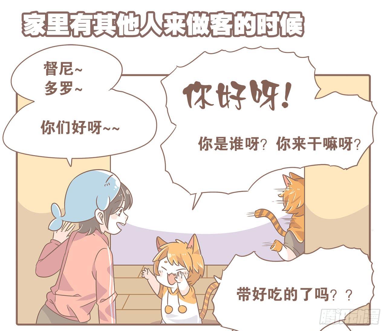 《大圣和小夭》特别篇家有俩猫 第8页