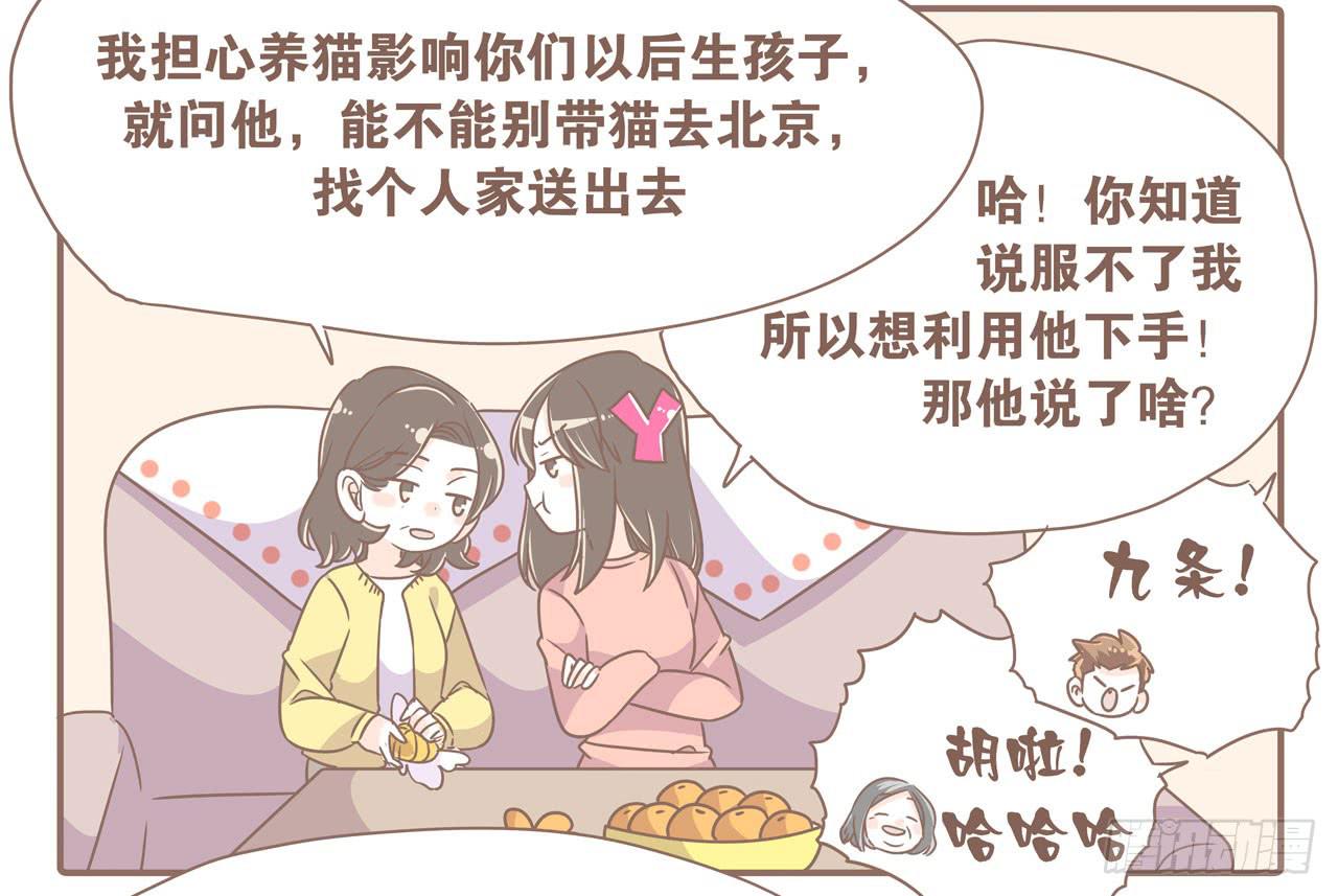《大圣和小夭》在娘家 第4页