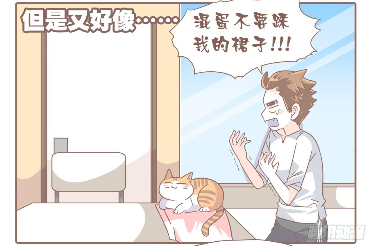 《大圣和小夭》今年夏天，猴又变了 第19页