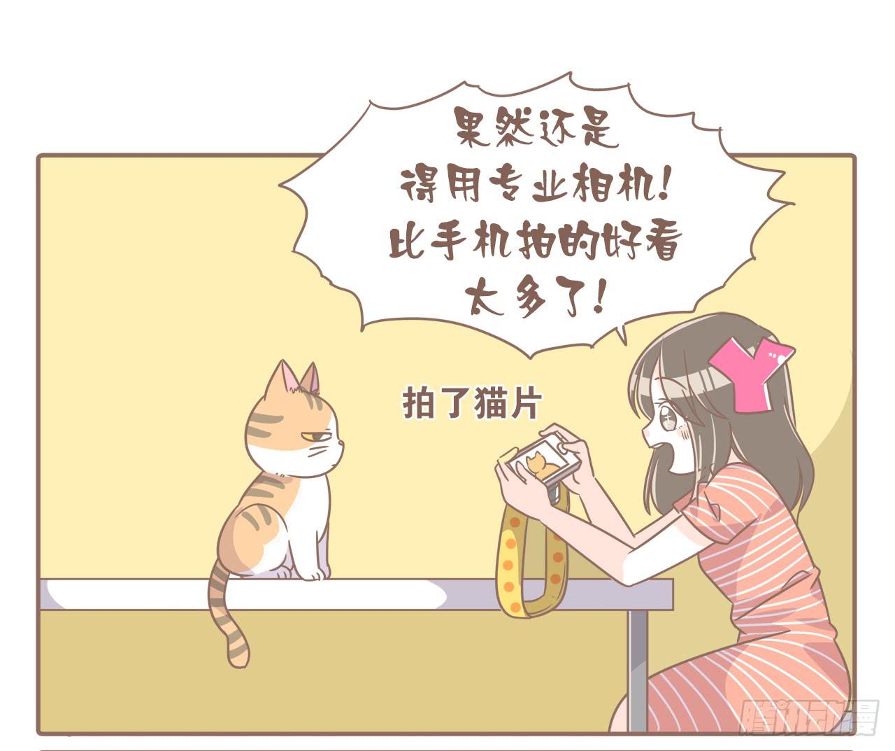 《大圣和小夭》新发现 第5页