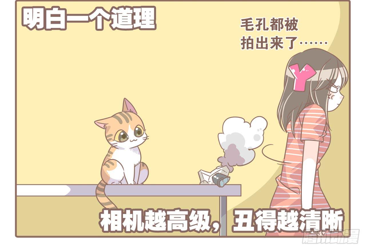 《大圣和小夭》新发现 第8页
