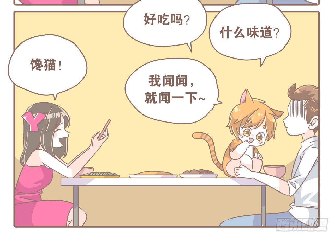 《大圣和小夭》家有俩猫 之二 第10页