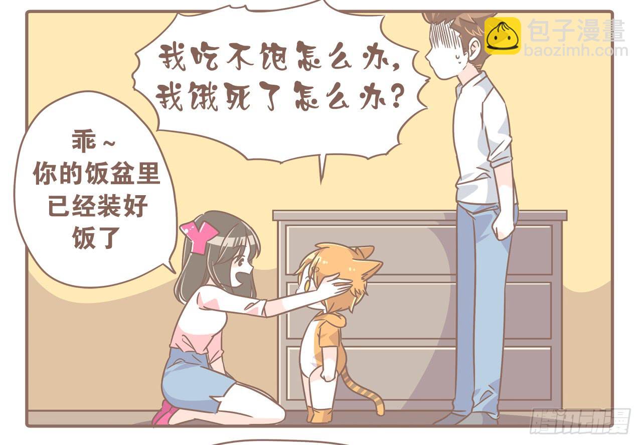 《大圣和小夭》家有俩猫 之二 第12页