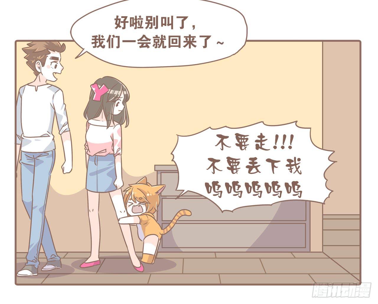 《大圣和小夭》家有俩猫 之二 第13页