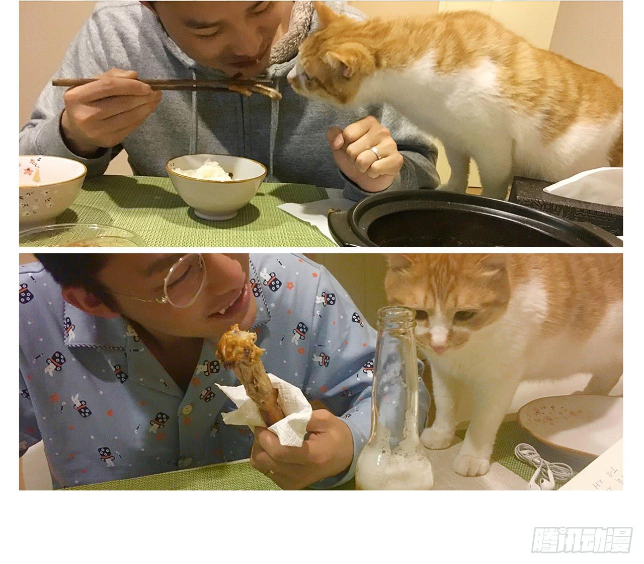 《大圣和小夭》家有俩猫 之二 第17页