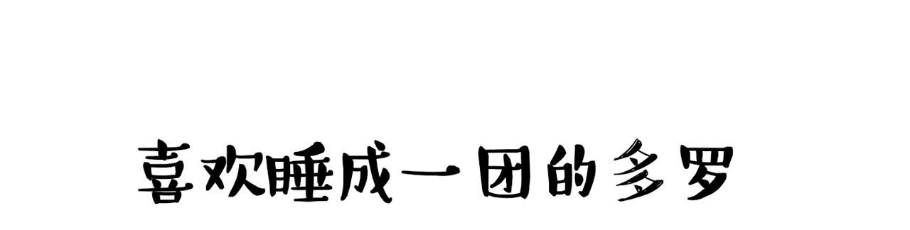 《大圣和小夭》家有俩猫 之二 第18页