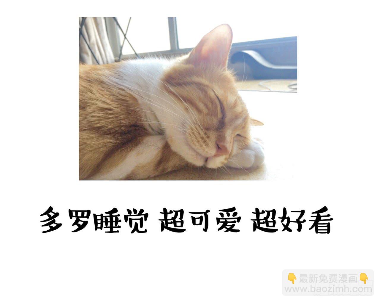 《大圣和小夭》家有俩猫 之二 第21页