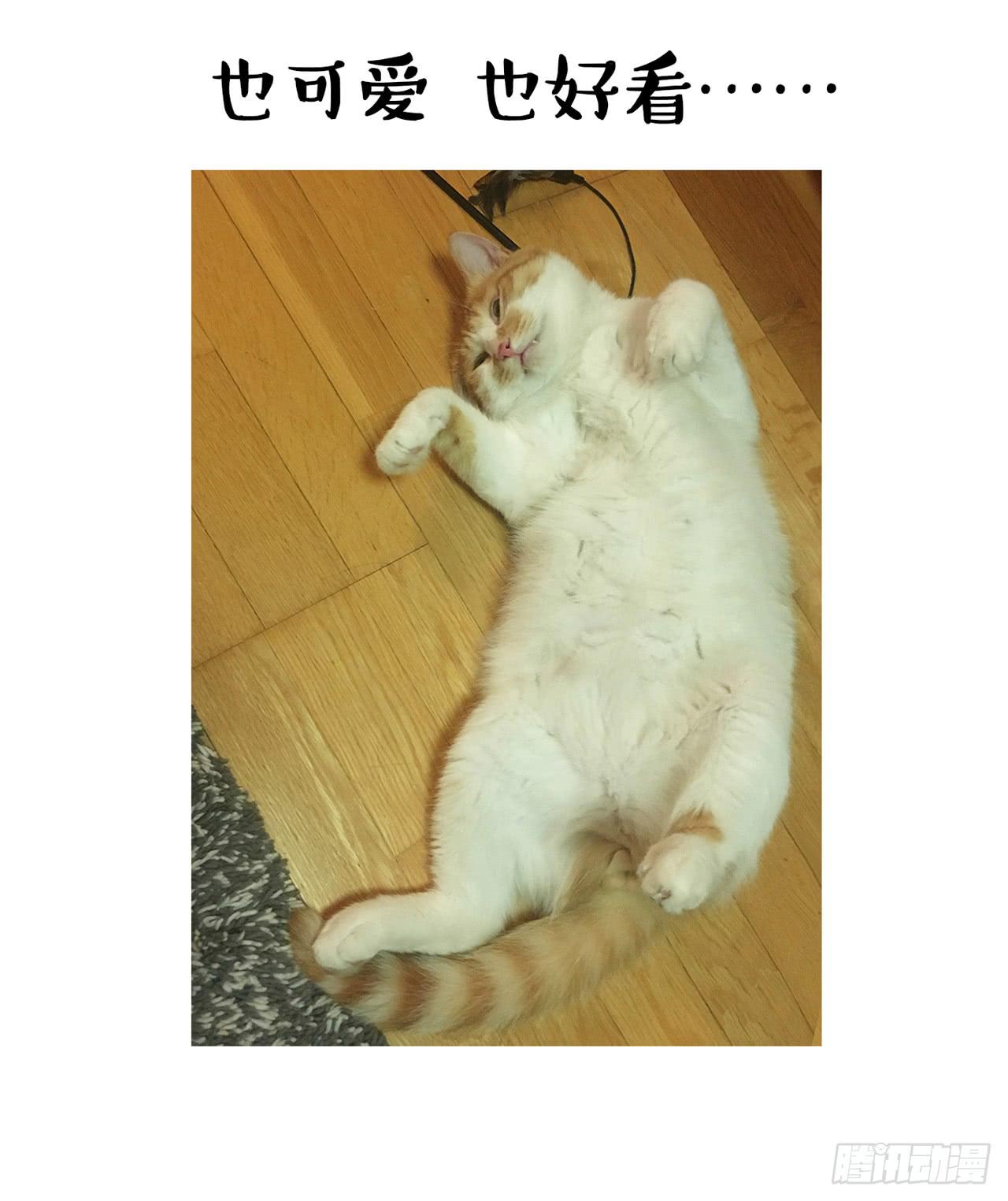 《大圣和小夭》家有俩猫 之二 第23页