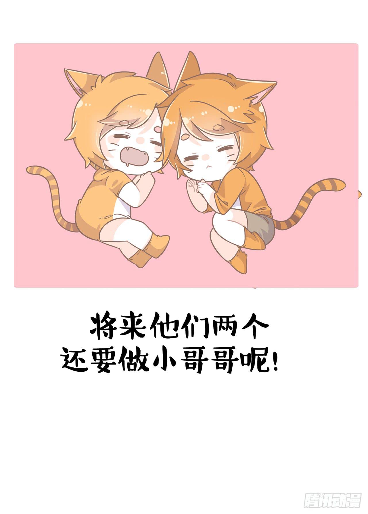 《大圣和小夭》家有俩猫 之二 第25页