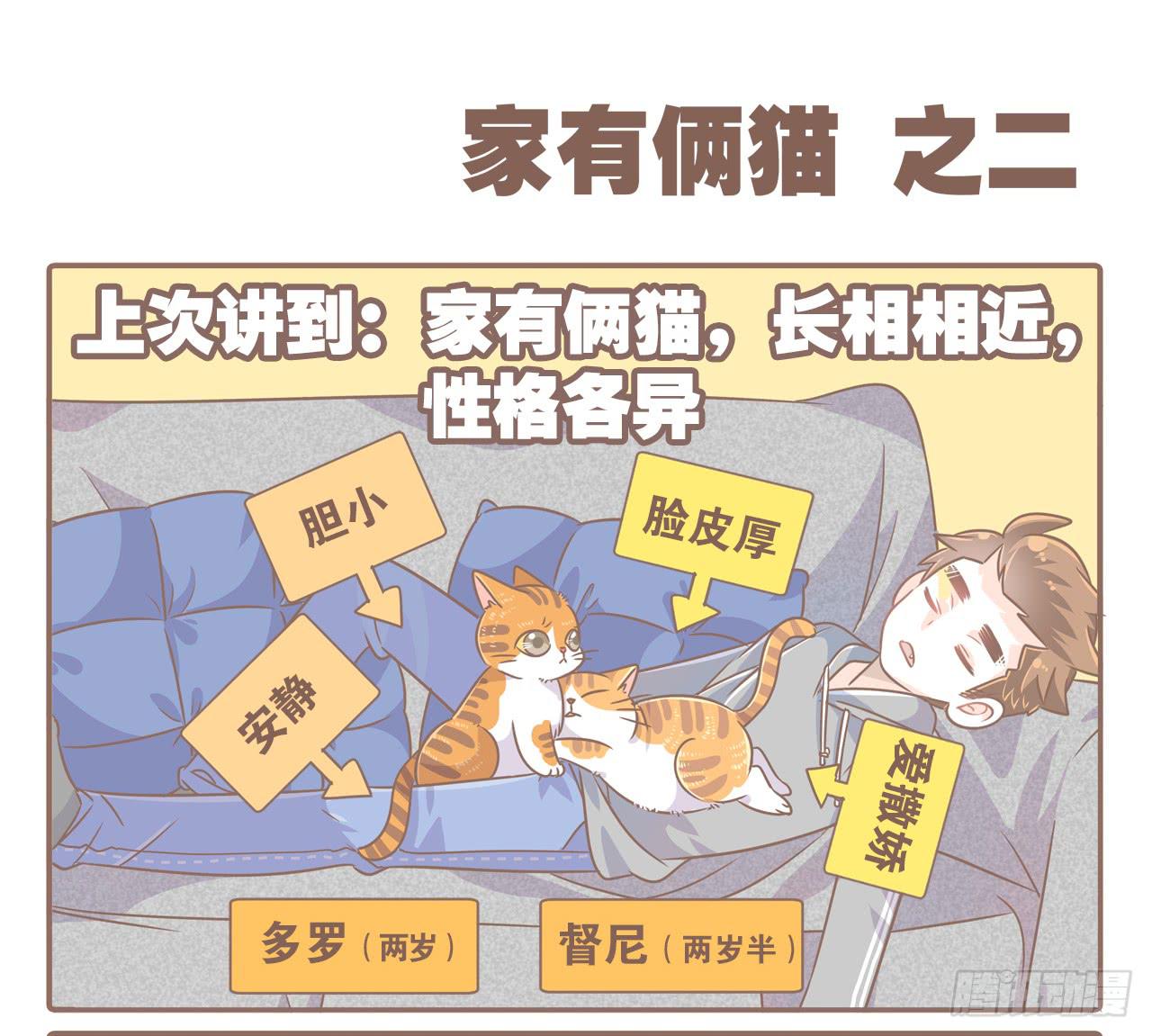 《大圣和小夭》家有俩猫 之二 第2页