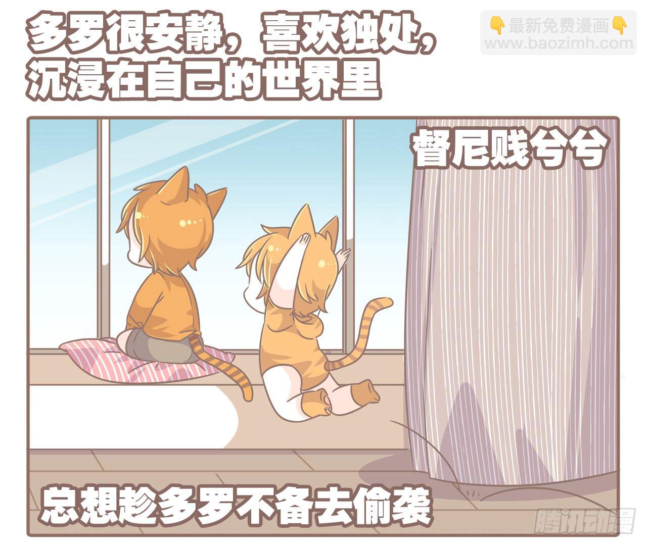 《大圣和小夭》家有俩猫 之二 第4页