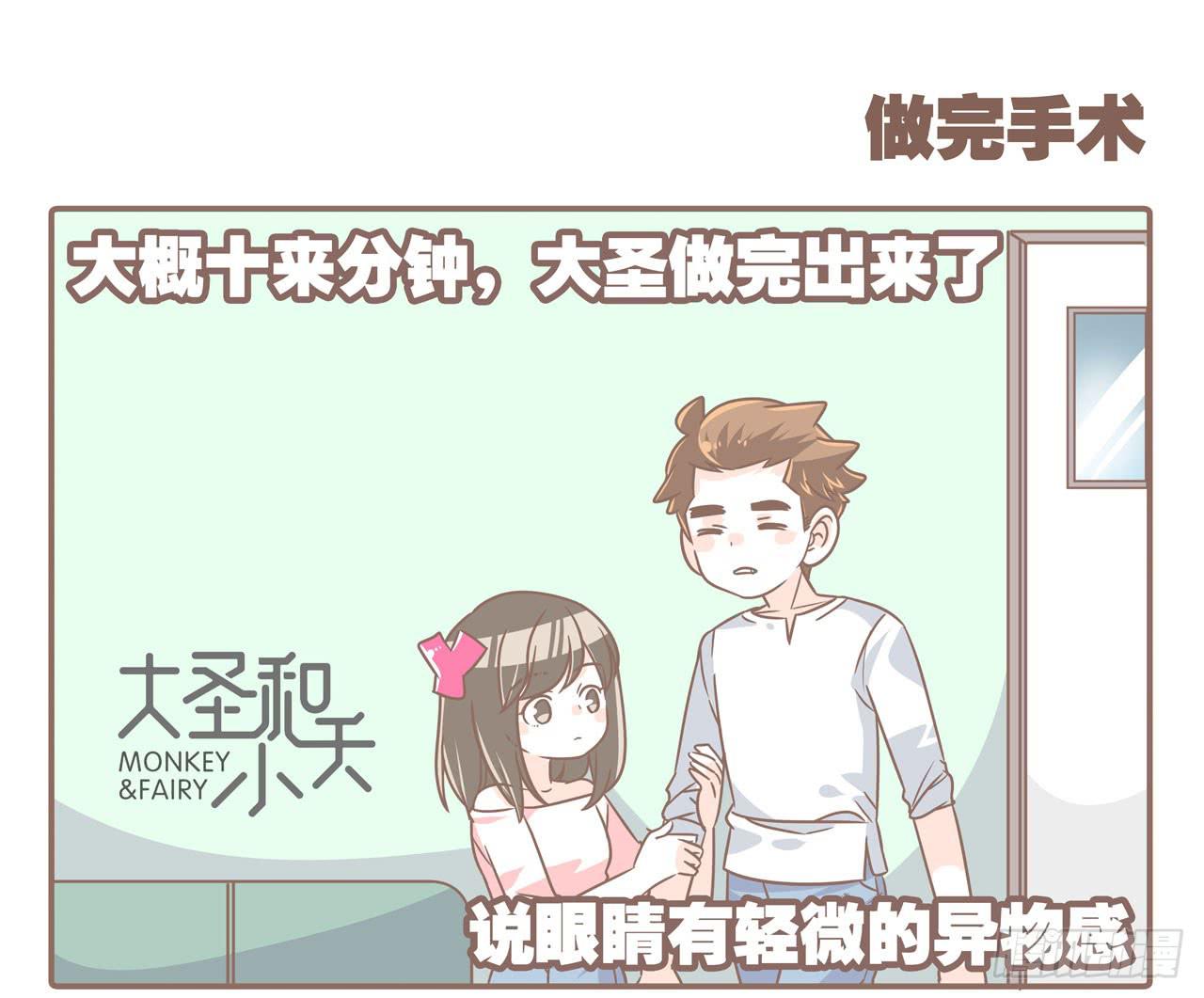 《大圣和小夭》大圣做了个手术 第9页