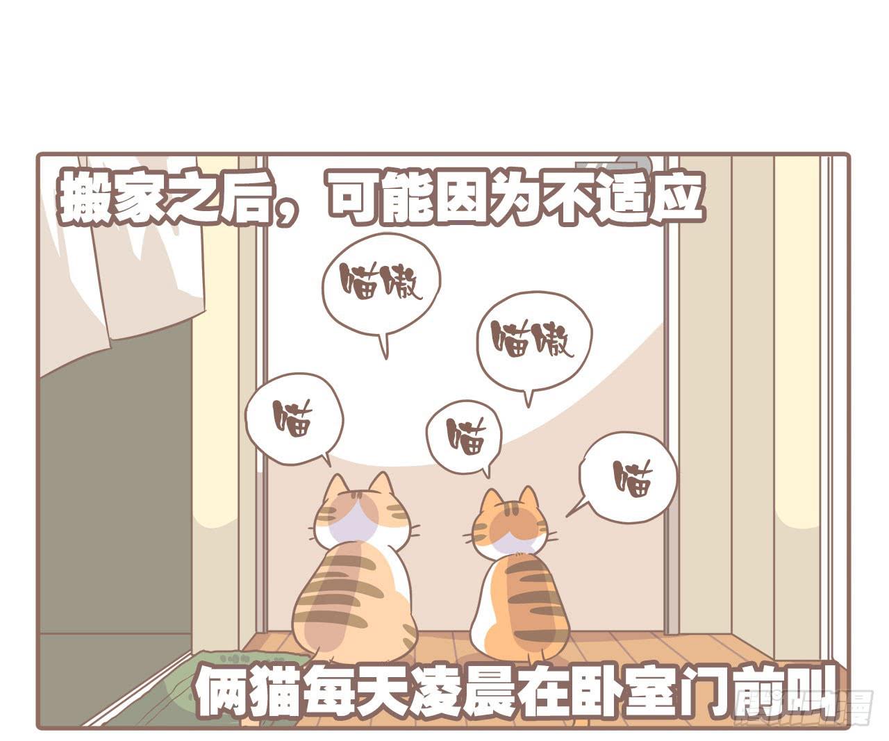 《大圣和小夭》搬家了！ 第30页