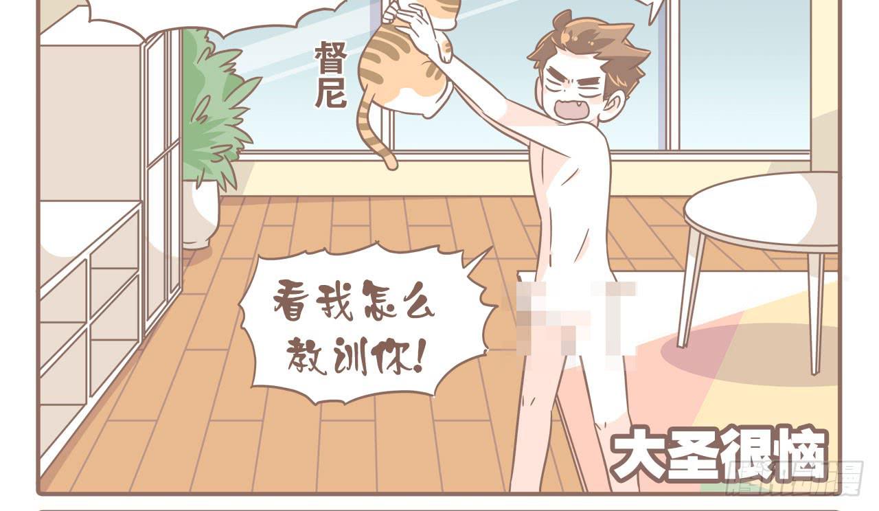 《大圣和小夭》搬家了！ 第32页