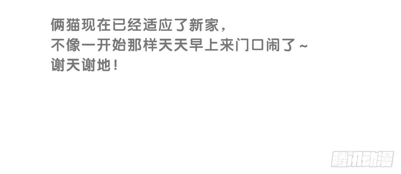 《大圣和小夭》搬家了！ 第45页