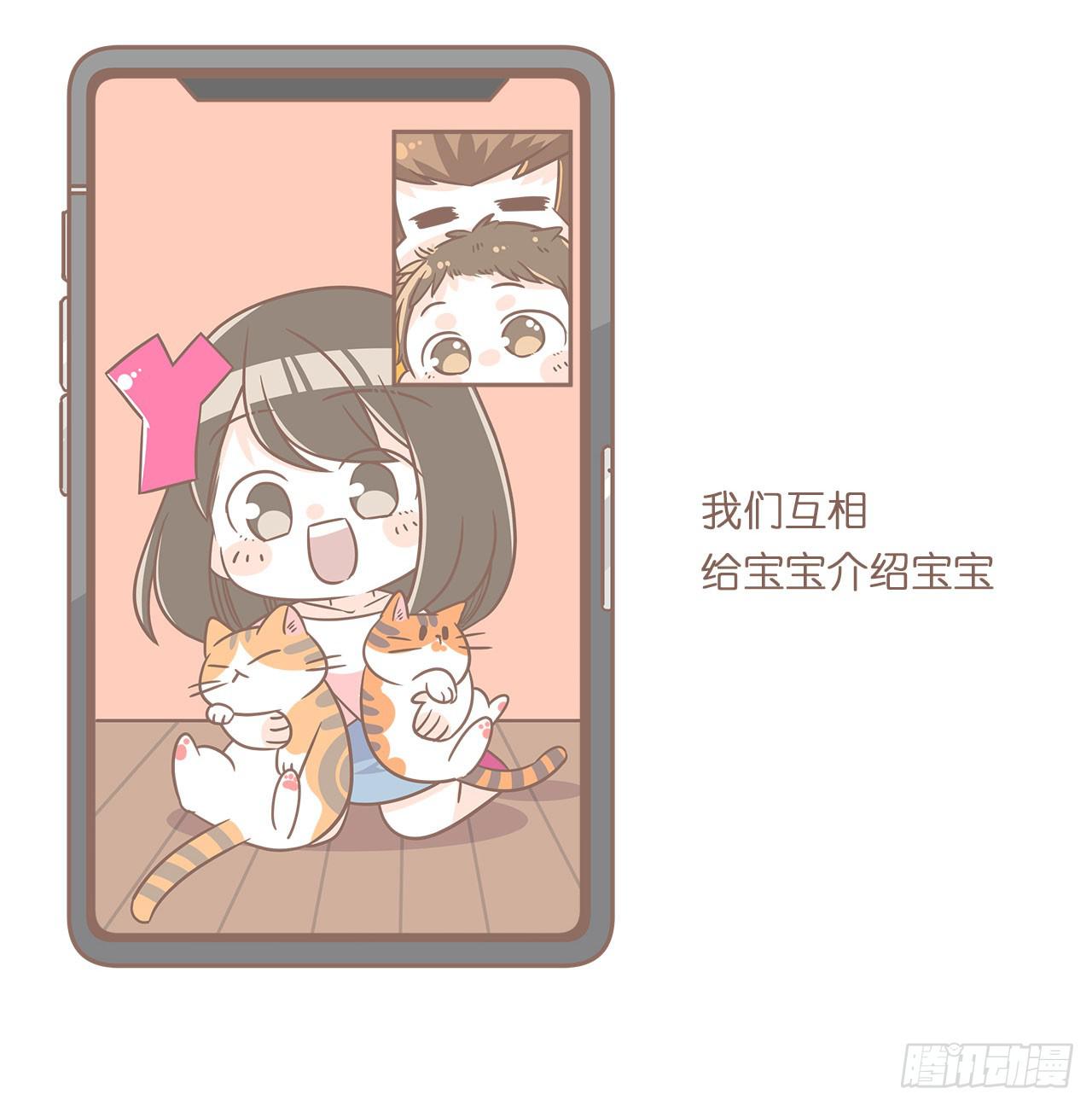 《大圣和小夭》邀请你进行视频通话 第26页