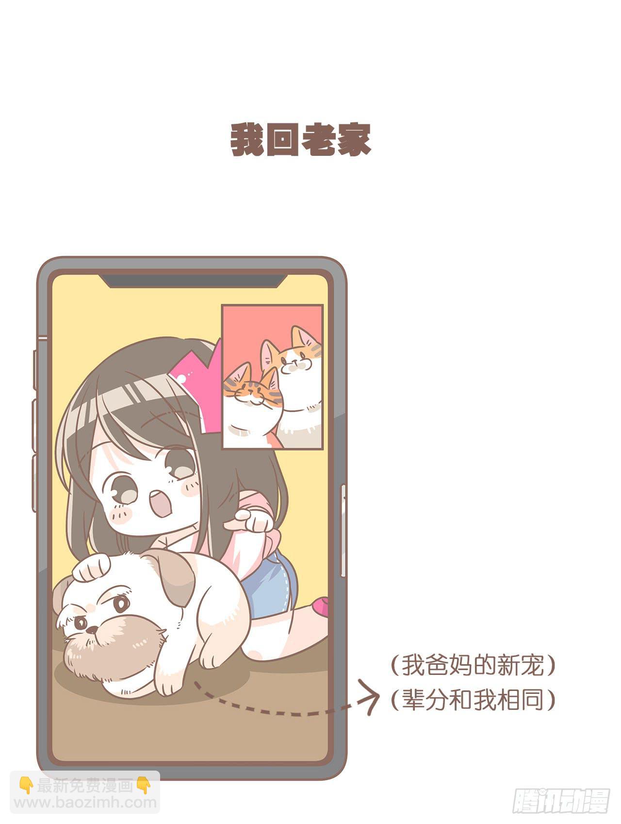 《大圣和小夭》邀请你进行视频通话 第27页