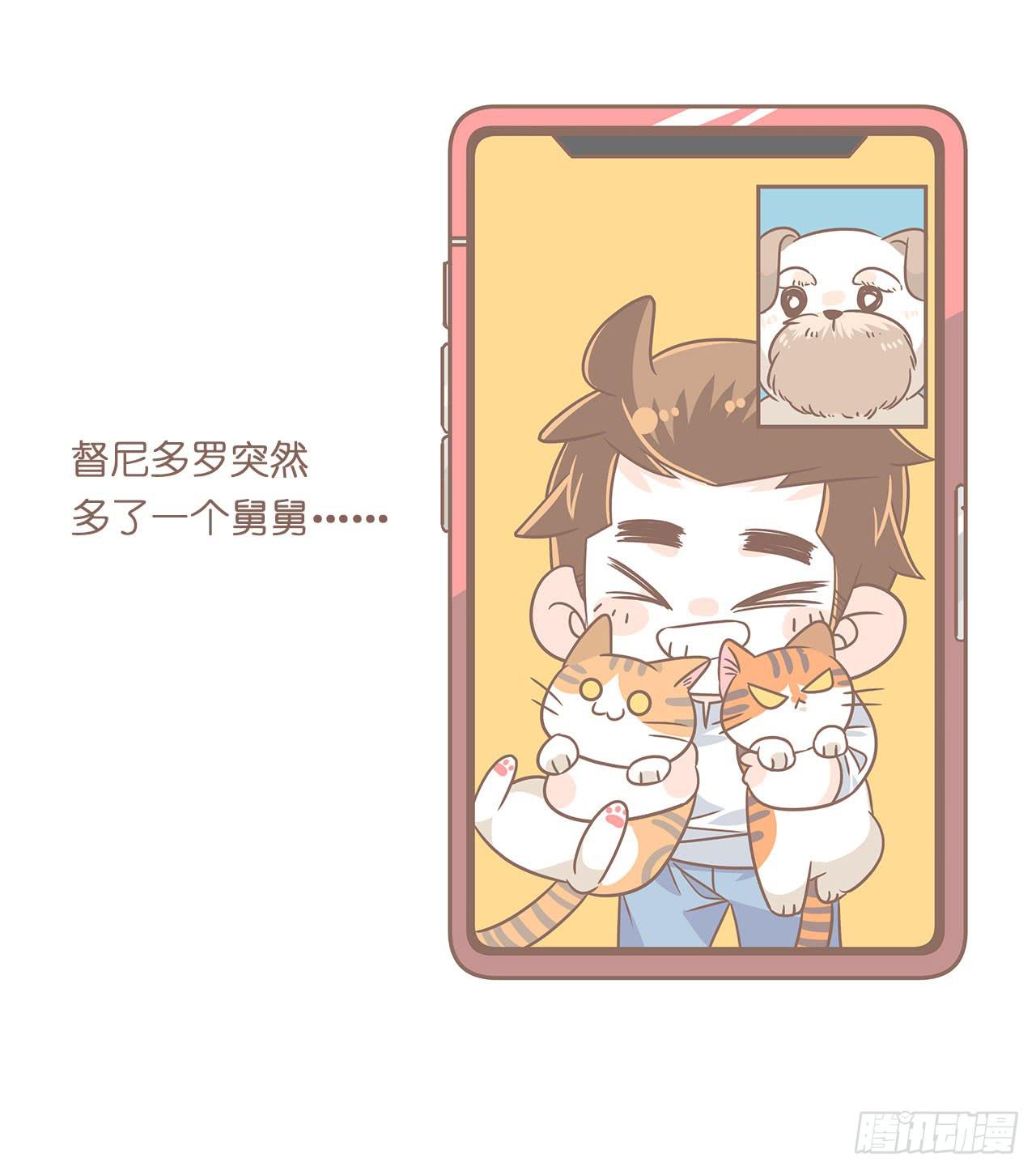 《大圣和小夭》邀请你进行视频通话 第28页