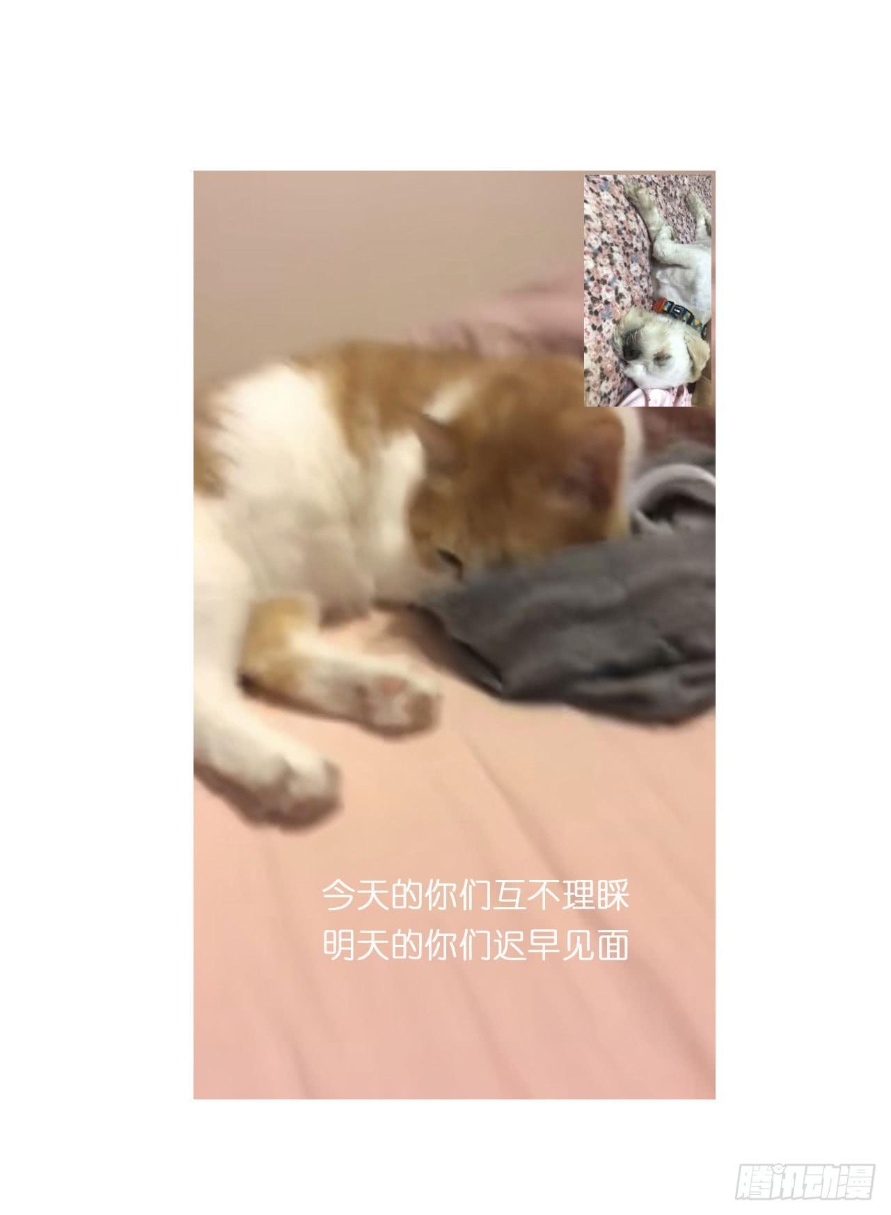 《大圣和小夭》邀请你进行视频通话 第29页
