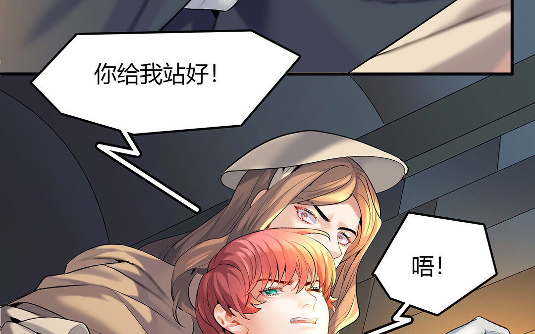 《黑夜手札》46 第40话 夫人的秘密 第13页