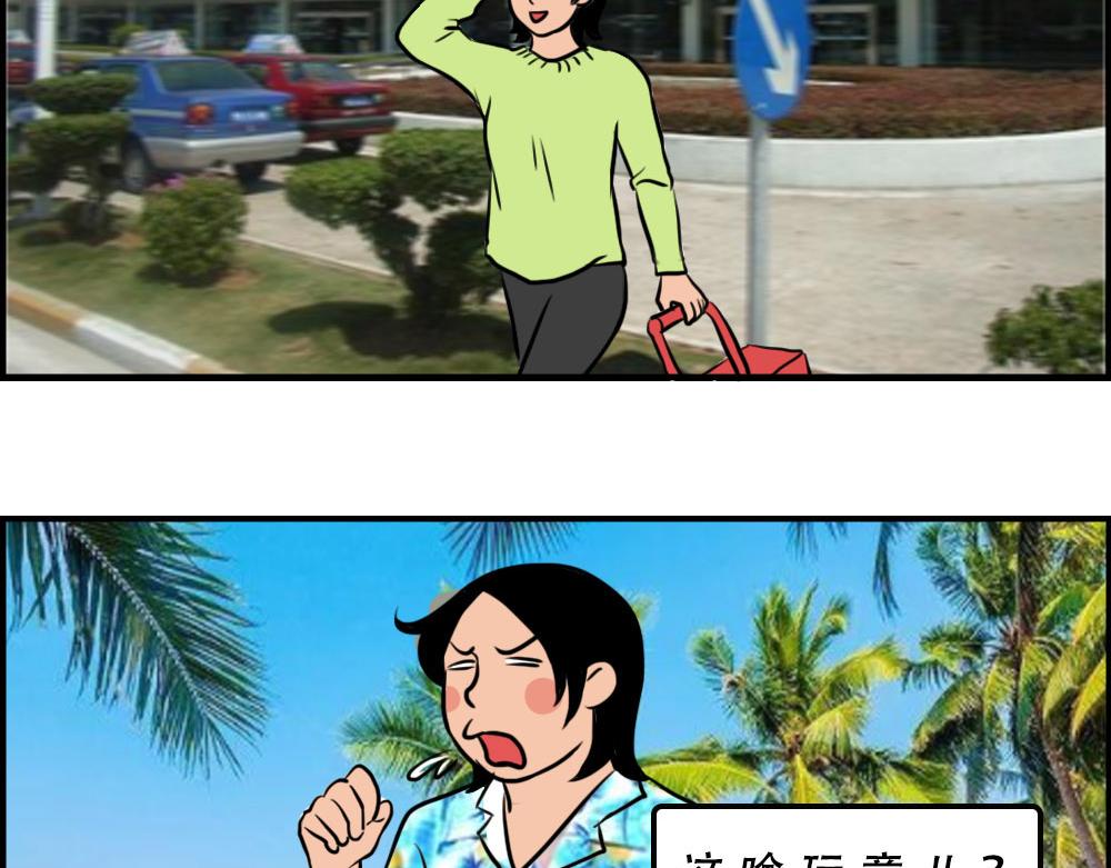 《林大发发了吗》真正的深圳特产，来自海南？ 第16页