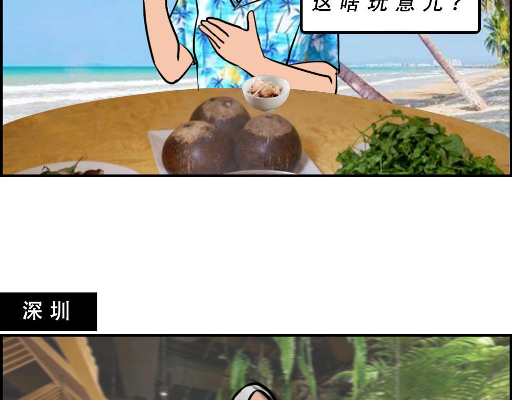 《林大发发了吗》真正的深圳特产，来自海南？ 第17页