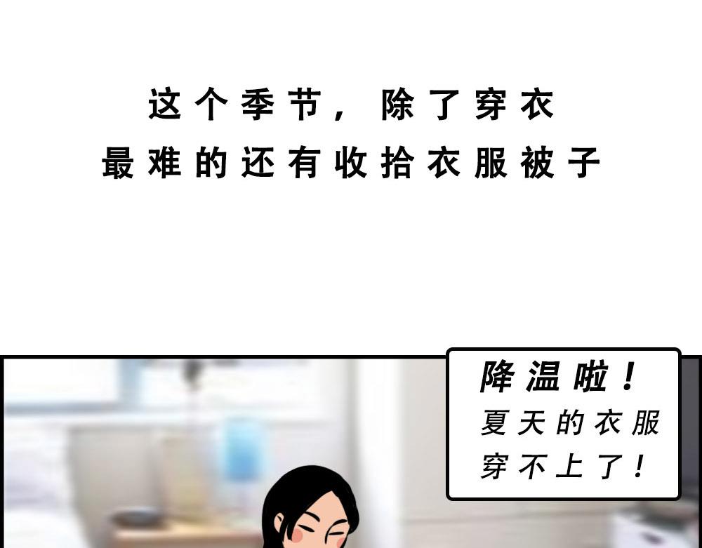 《林大发发了吗》深圳天气，求你做个人！ 第24页