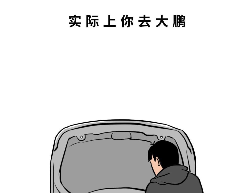 《林大发发了吗》千万别在深圳买车 第47页