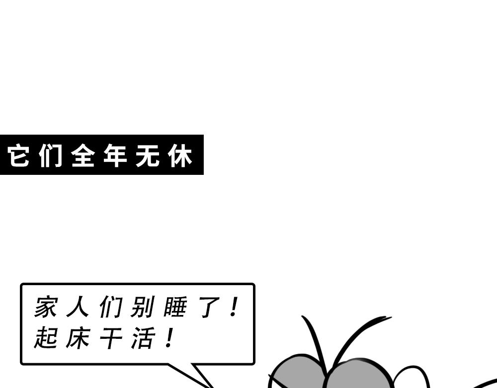 《林大发发了吗》广东人的夜晚啪啪啪啪啪啪啪啪 第19页