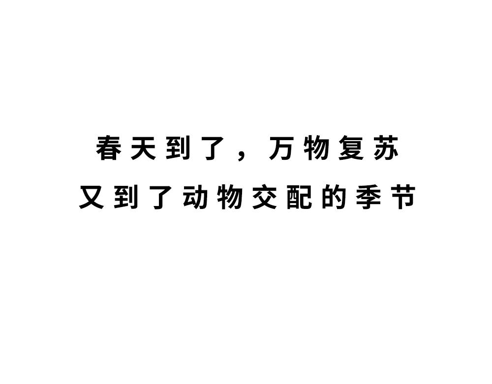 《林大发发了吗》广东人的夜晚啪啪啪啪啪啪啪啪 第1页
