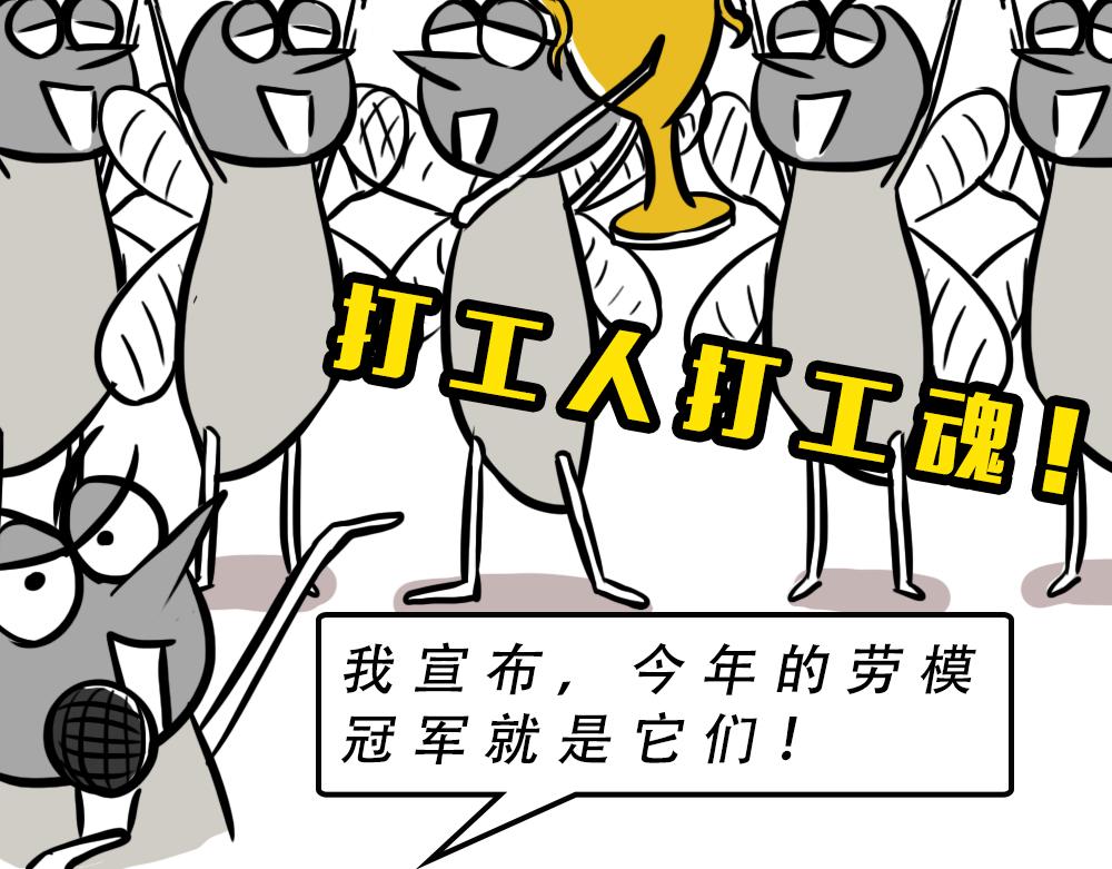 《林大发发了吗》广东人的夜晚啪啪啪啪啪啪啪啪 第23页