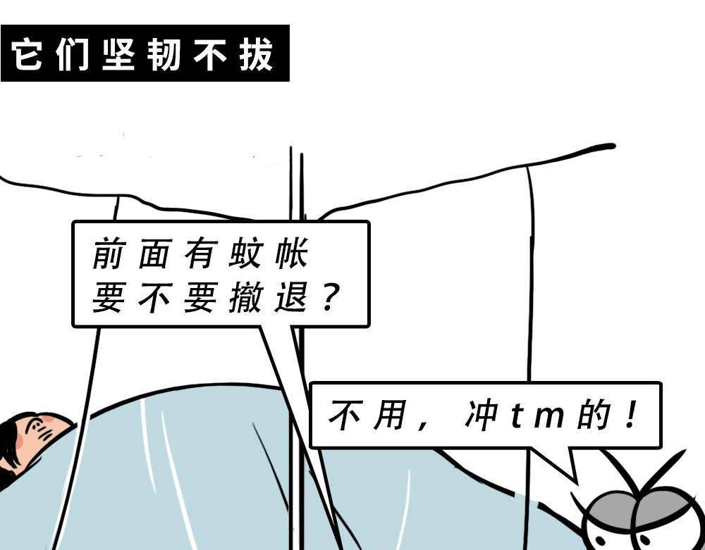 《林大发发了吗》广东人的夜晚啪啪啪啪啪啪啪啪 第25页