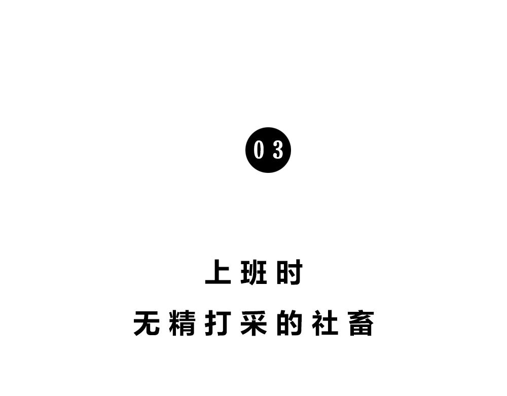 《林大发发了吗》深圳人谁说我土! 第19页