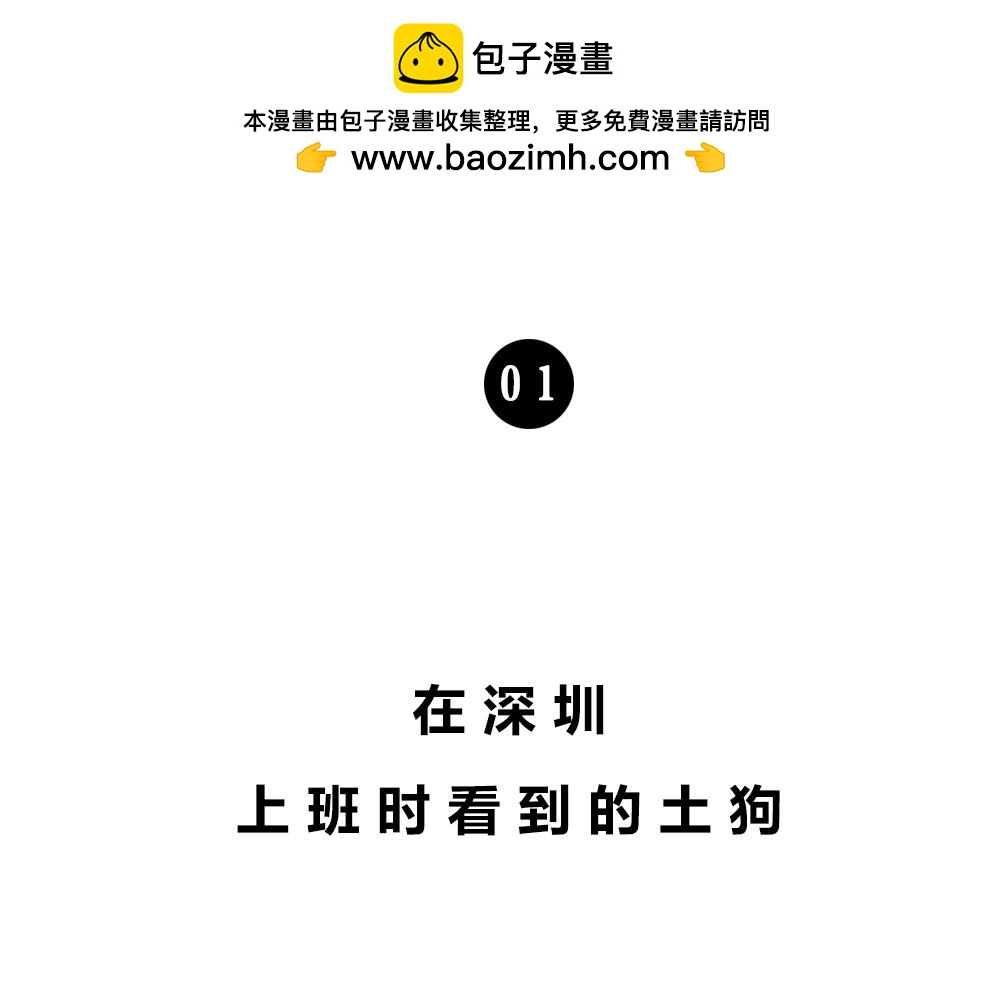 《林大发发了吗》深圳人谁说我土! 第2页