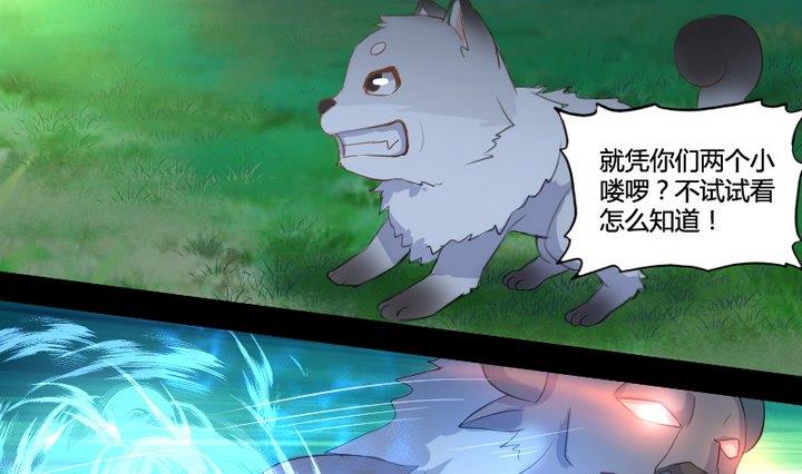 《生肖萌战记》第3话 猫妖大人登场！ 第10页