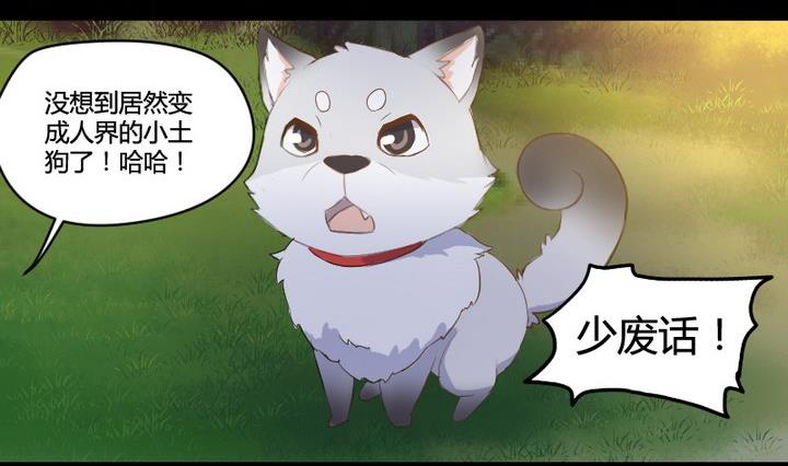《生肖萌战记》第3话 猫妖大人登场！ 第8页