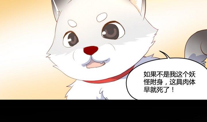 《生肖萌战记》第2话 肉丸说话 了？！ 第13页