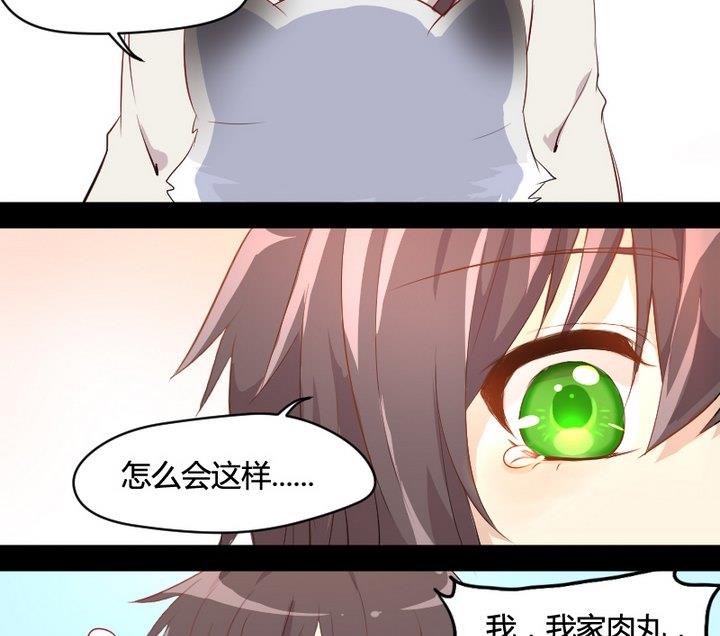 《生肖萌战记》第2话 肉丸说话 了？！ 第16页